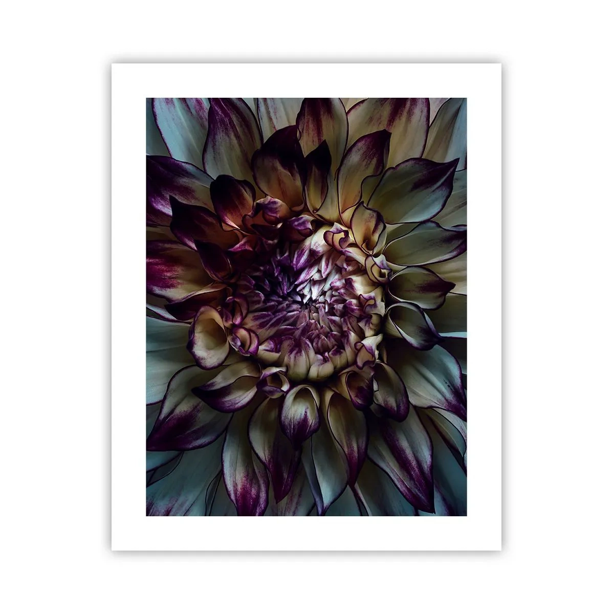 Poster - Înflorirea tinereții - 40x50 cm