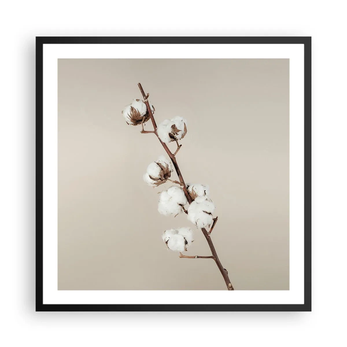 Poster în ramă neagră - La sursa moliciunii - 60x60 cm