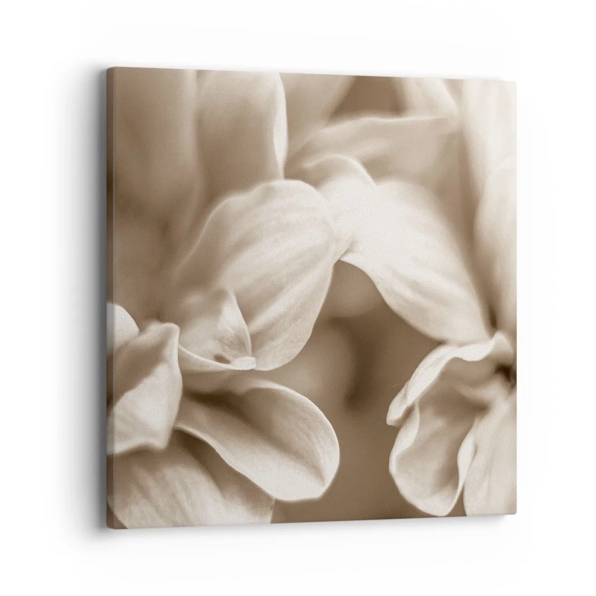 Tablou pe pânză - Blânde ca un zâmbet - 40x40 cm