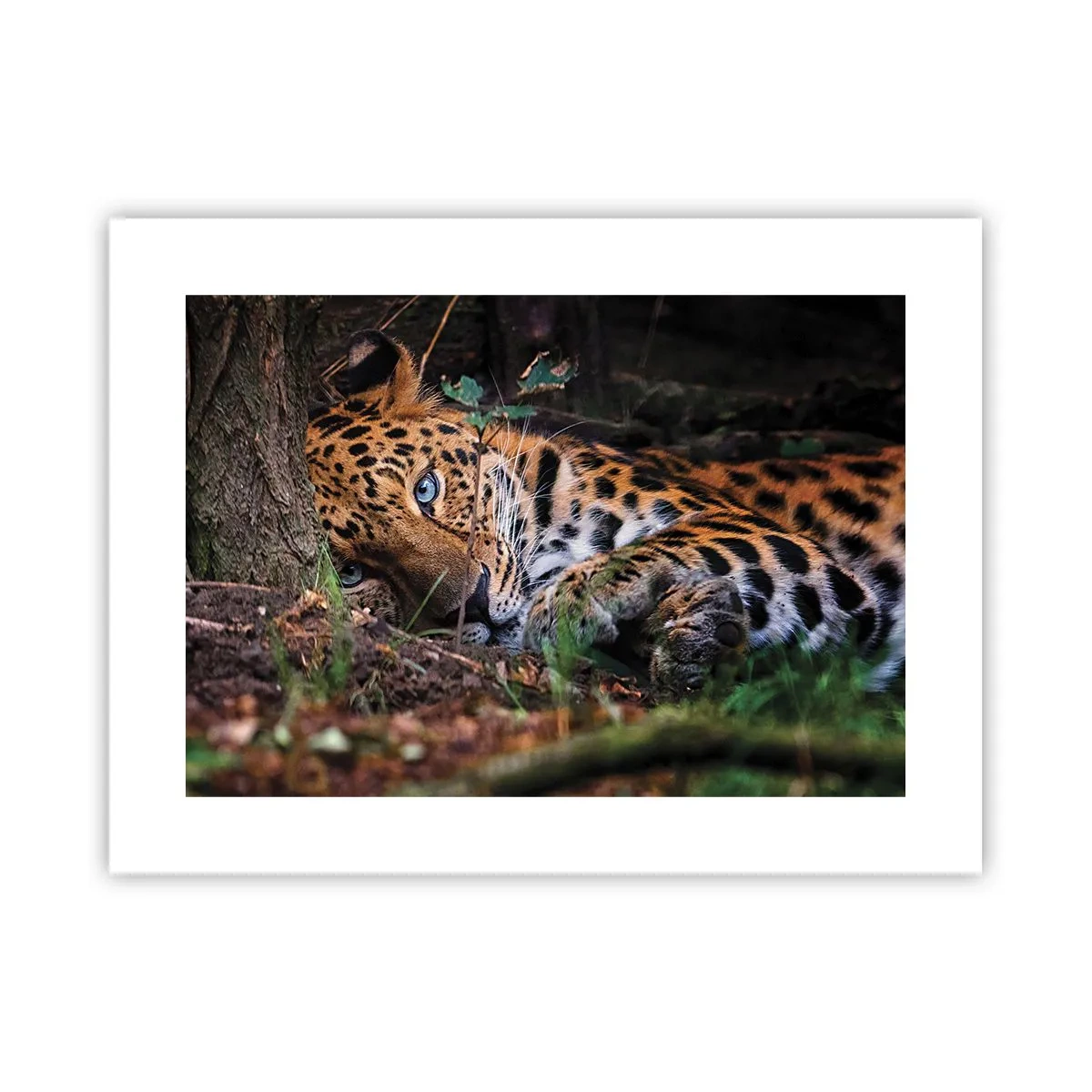 Poster - Să ai încredere în mine - 40x30 cm