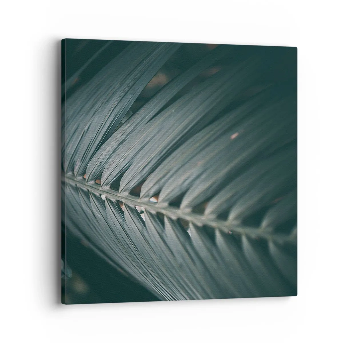 Tablou pe pânză - Precizia naturii - 40x40 cm