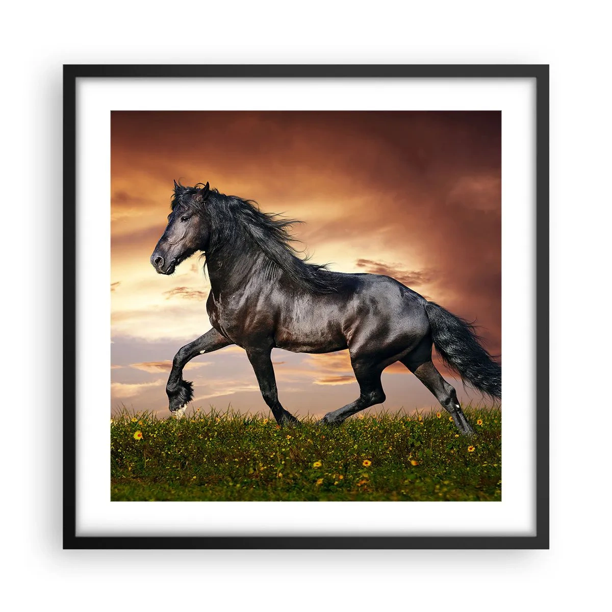 Poster în ramă neagră - Prințul negru - 50x50 cm