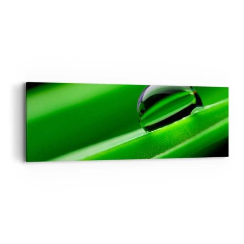 Tablou pe pânză - Viața de aproape - 90x30 cm