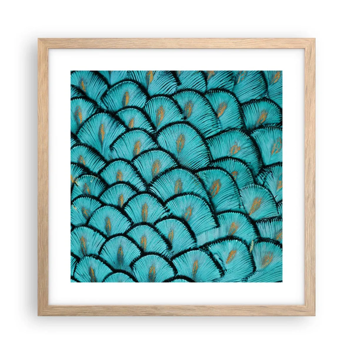 Poster în ramă de stejar deschis - Marea gală a penelor - 40x40 cm