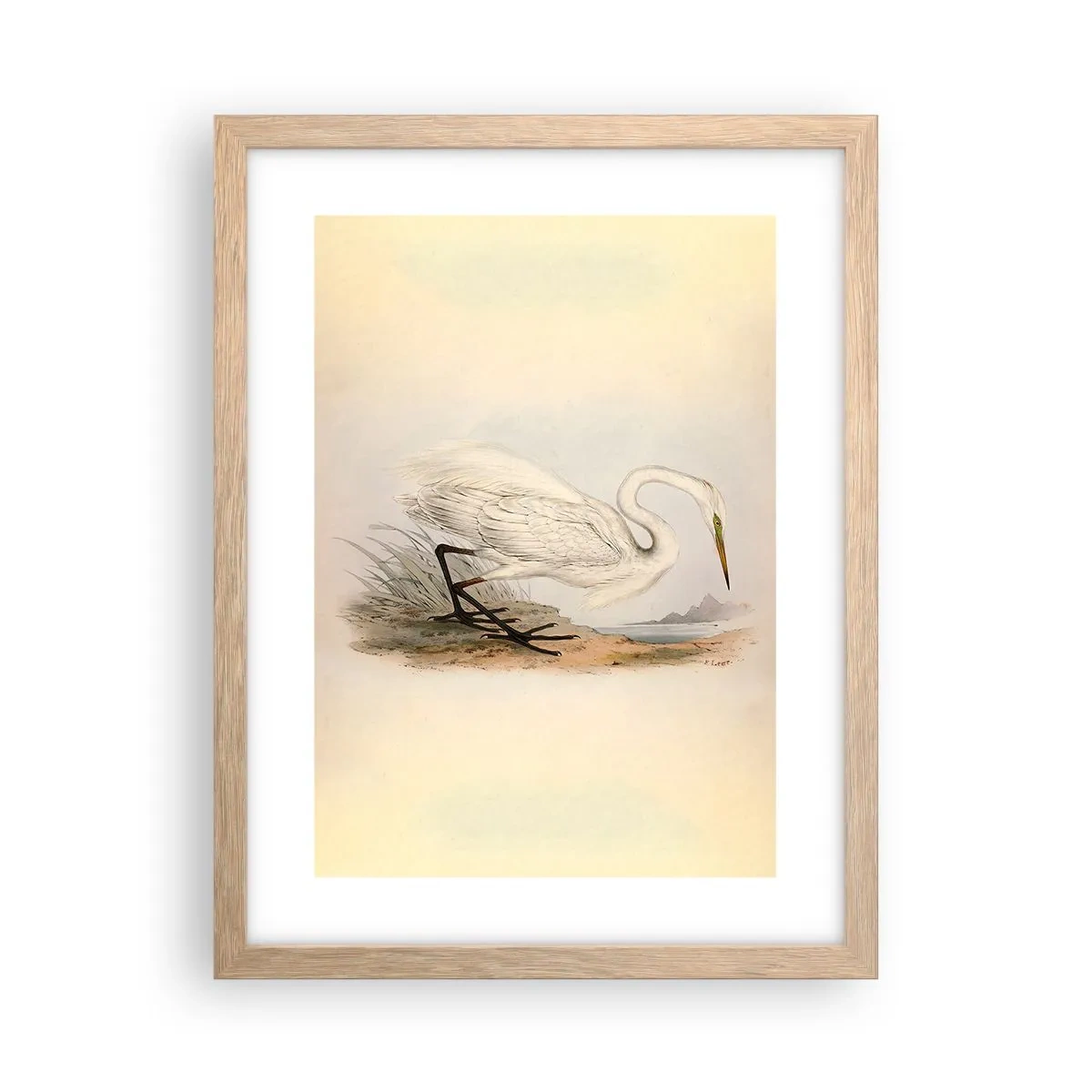 Poster în ramă de stejar deschis - Doamna în stufărișuri - 30x40 cm
