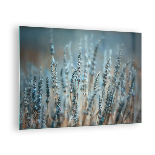 Tablou pe sticlă - Un câmp de lavandă în lumină blândă și rece - 70x50cm - Câmpul parfumat - Decorațiune modernă pentru perete pentru living și dormitor ARTTOR