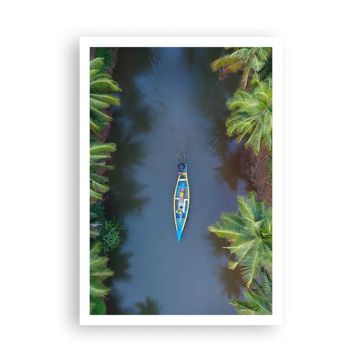 Poster - Pe traseul tropical - 70x100 cm