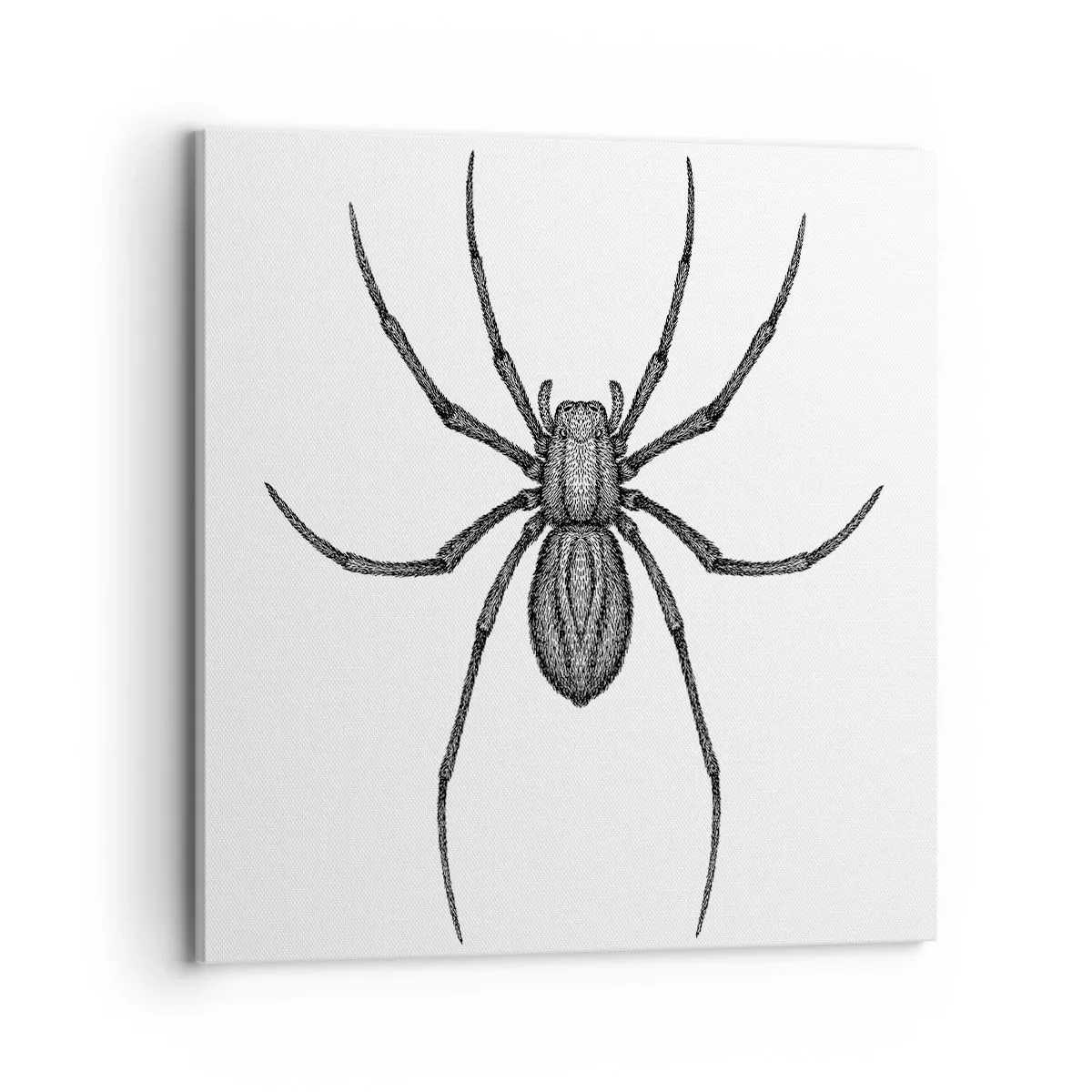 Tablou pe pânză - Precizie tulburătoare - 70x70 cm