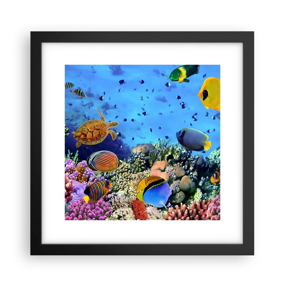 Poster în ramă neagră - Și ce știm noi despre viață... - 30x30 cm