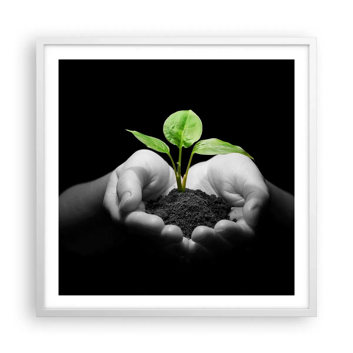 Poster în ramă albă - Iubesc natura, o protejez - 60x60 cm