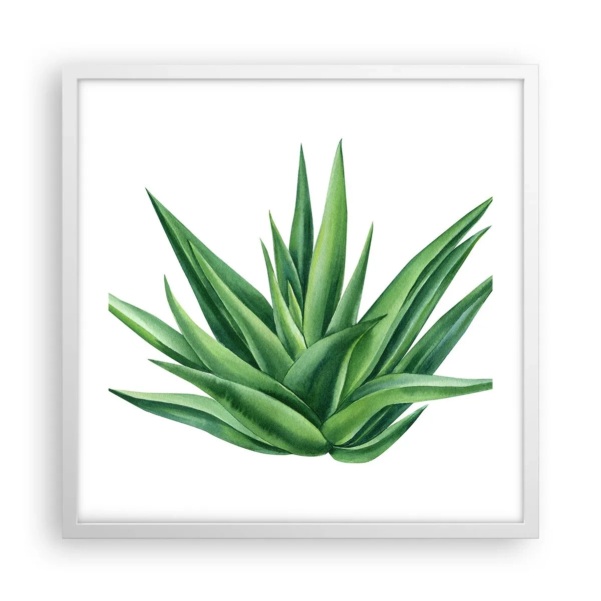 Poster în ramă albă - Verde - putere - viață - 50x50 cm