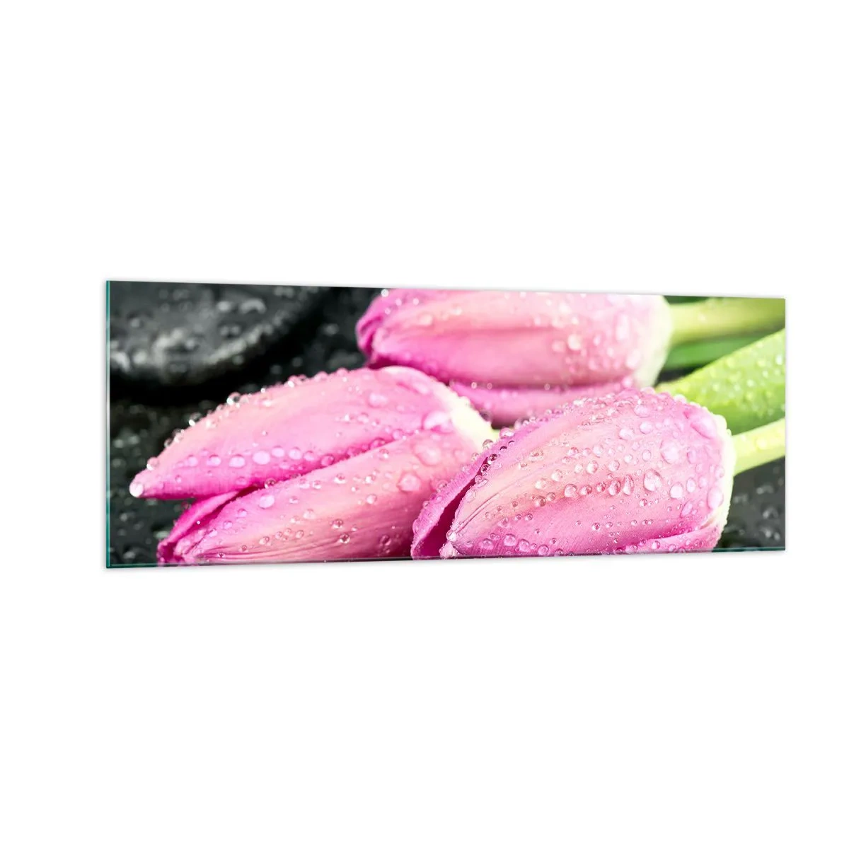 Tablou pe sticlă - Pe piatră neagră - 140x50 cm