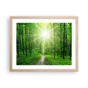 Poster în ramă de stejar deschis - Catedrala verde - 50x40 cm