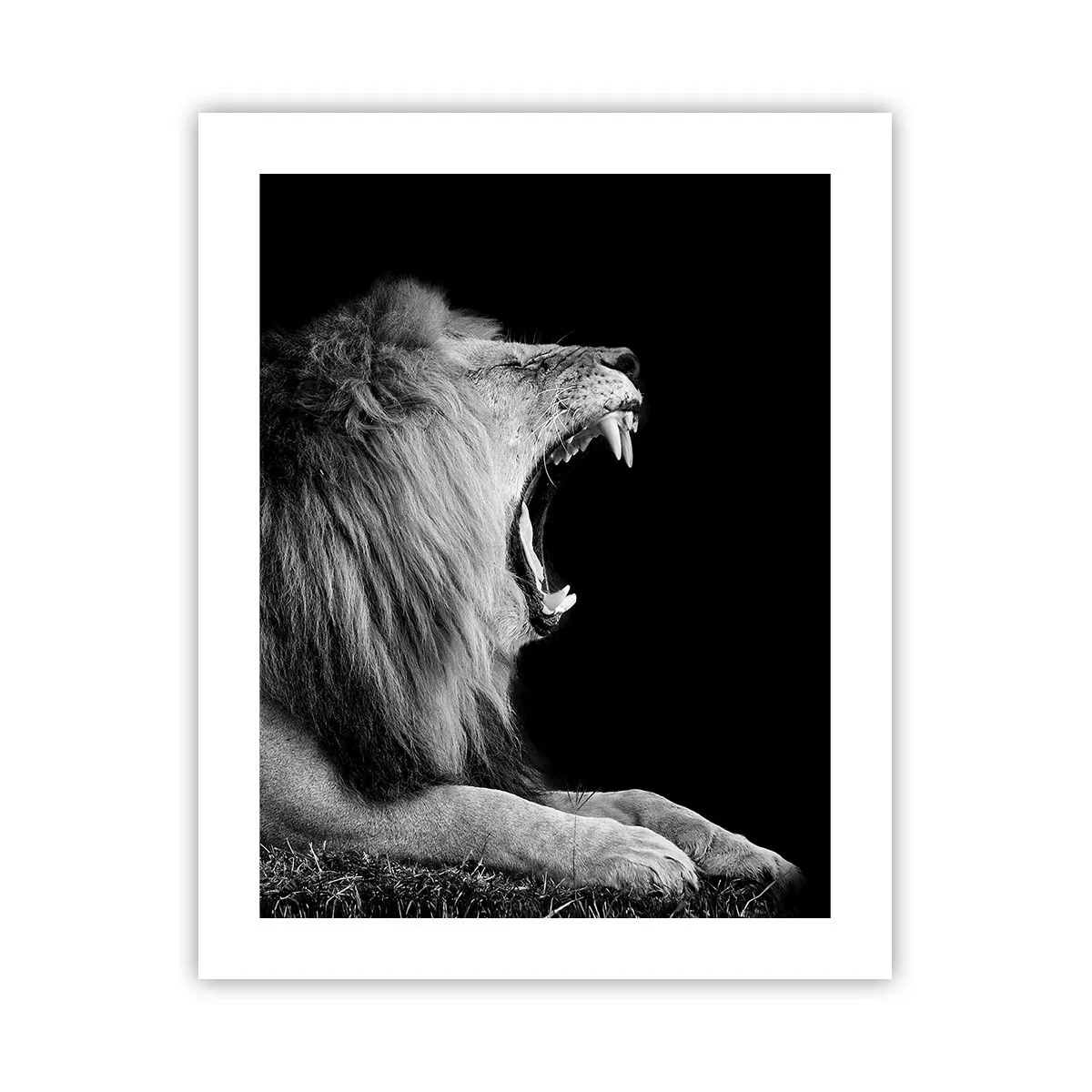 Poster - Fără nici o ezitare - 40x50 cm