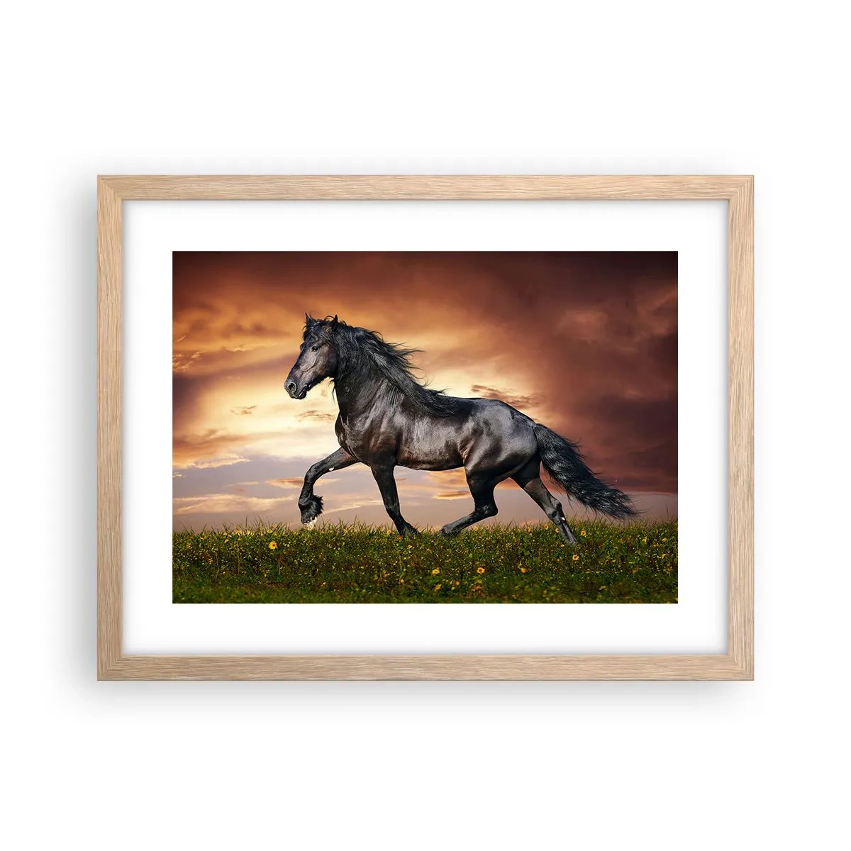 Poster în ramă de stejar deschis - Prințul negru - 40x30 cm