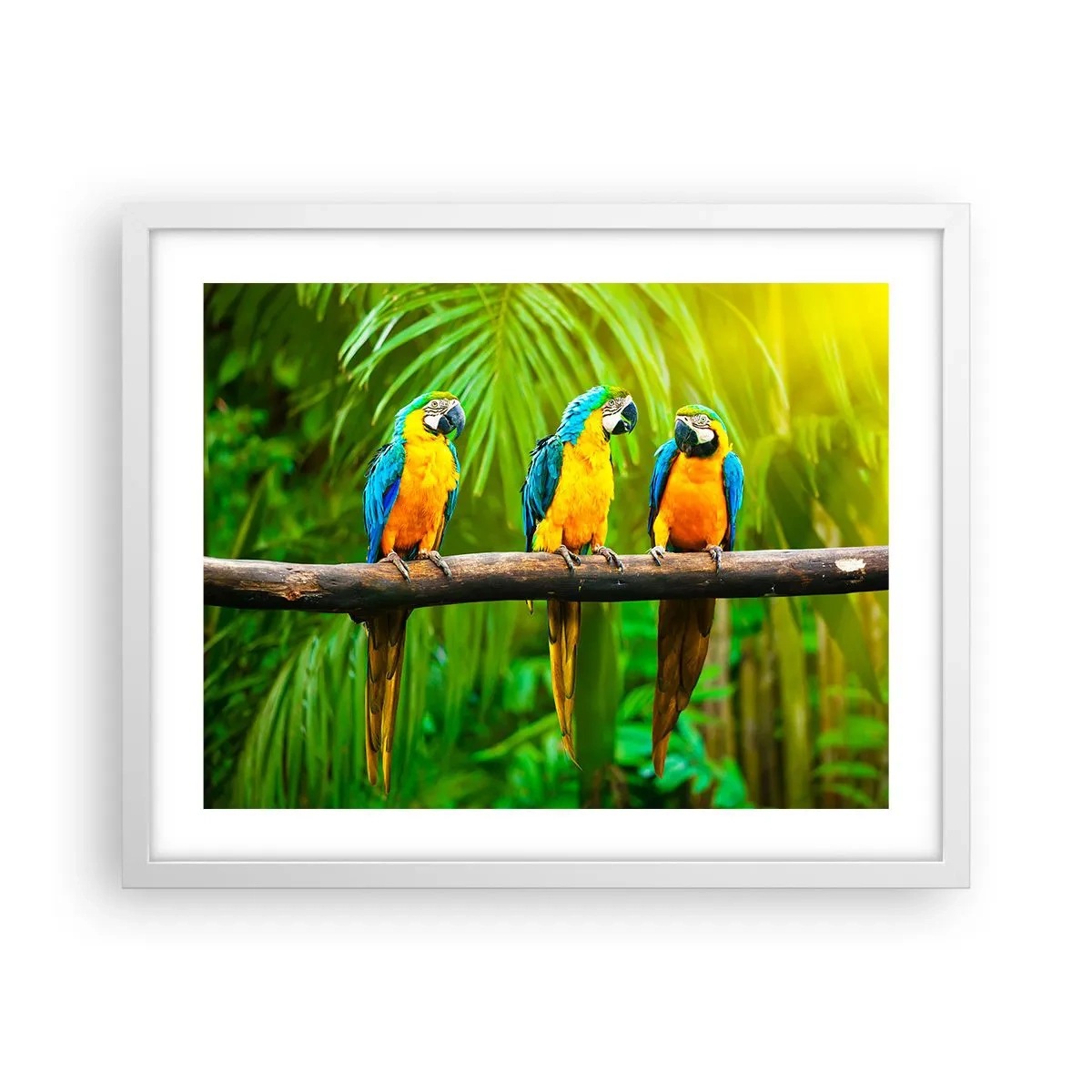 Poster în ramă albă - Și ai auzit că ea...? - 50x40 cm