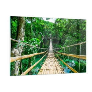 Tablou pe sticlă - Pod de maimuțe peste verdeață - 120x80 cm