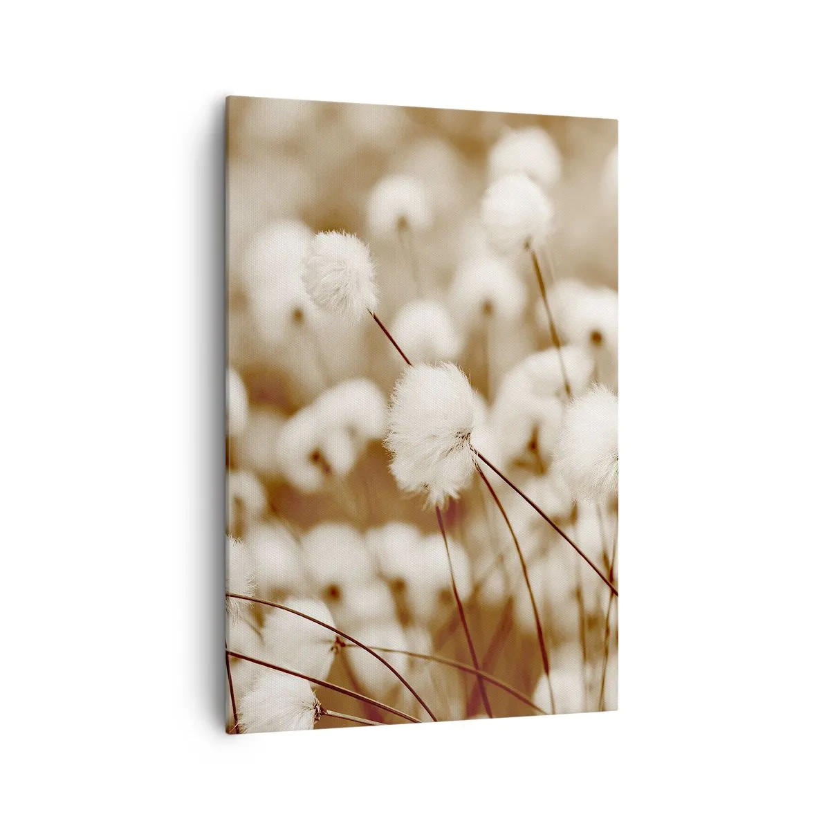 Tablou pe pânză - Câmp pufos - 70x100 cm
