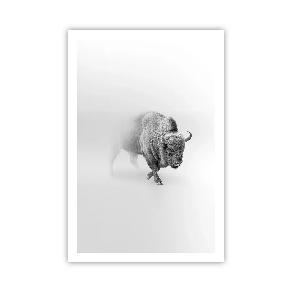 Poster - Regele preriilor - 61x91 cm