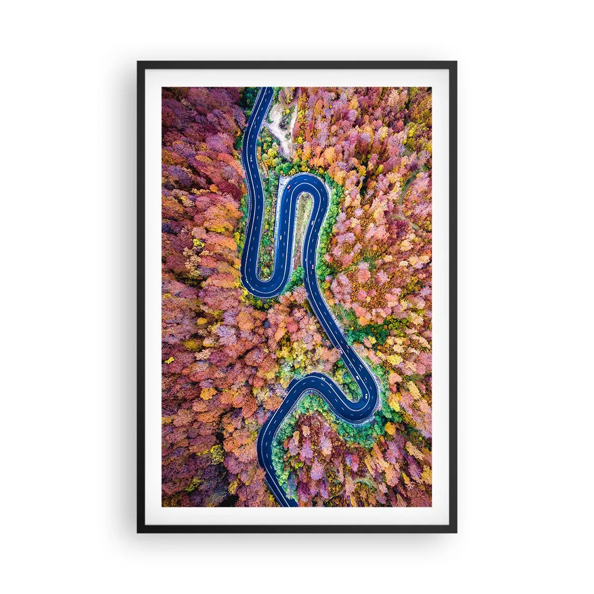 Poster în ramă neagră - Un drum șerpuit prin pădure - 61x91 cm