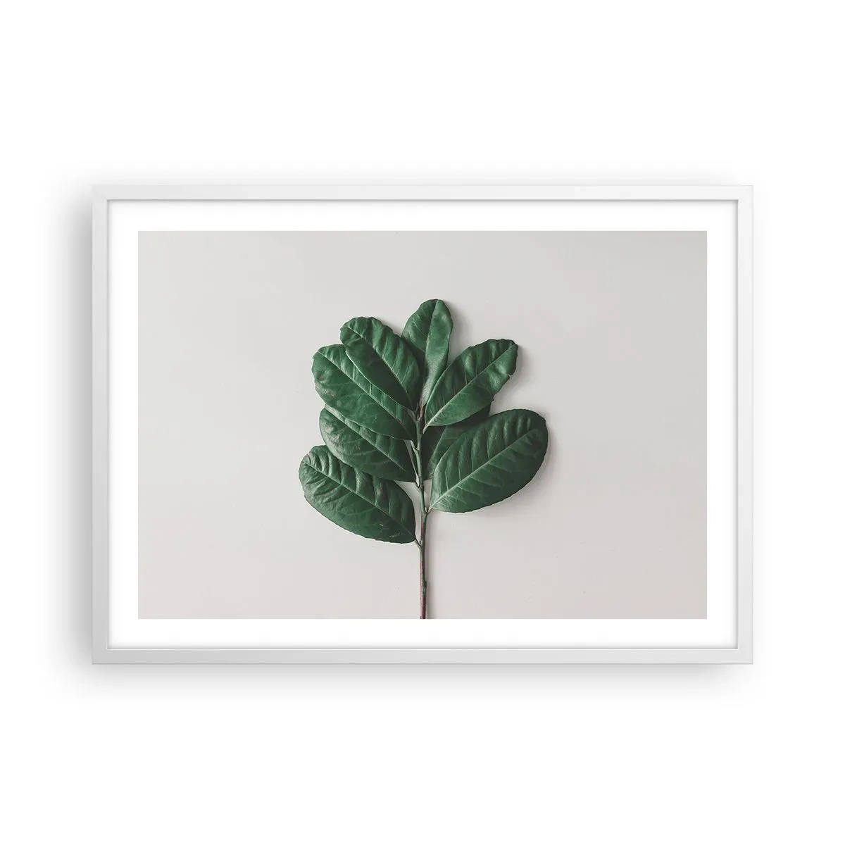 Poster în ramă albă - Desenul naturii însăși - 70x50 cm