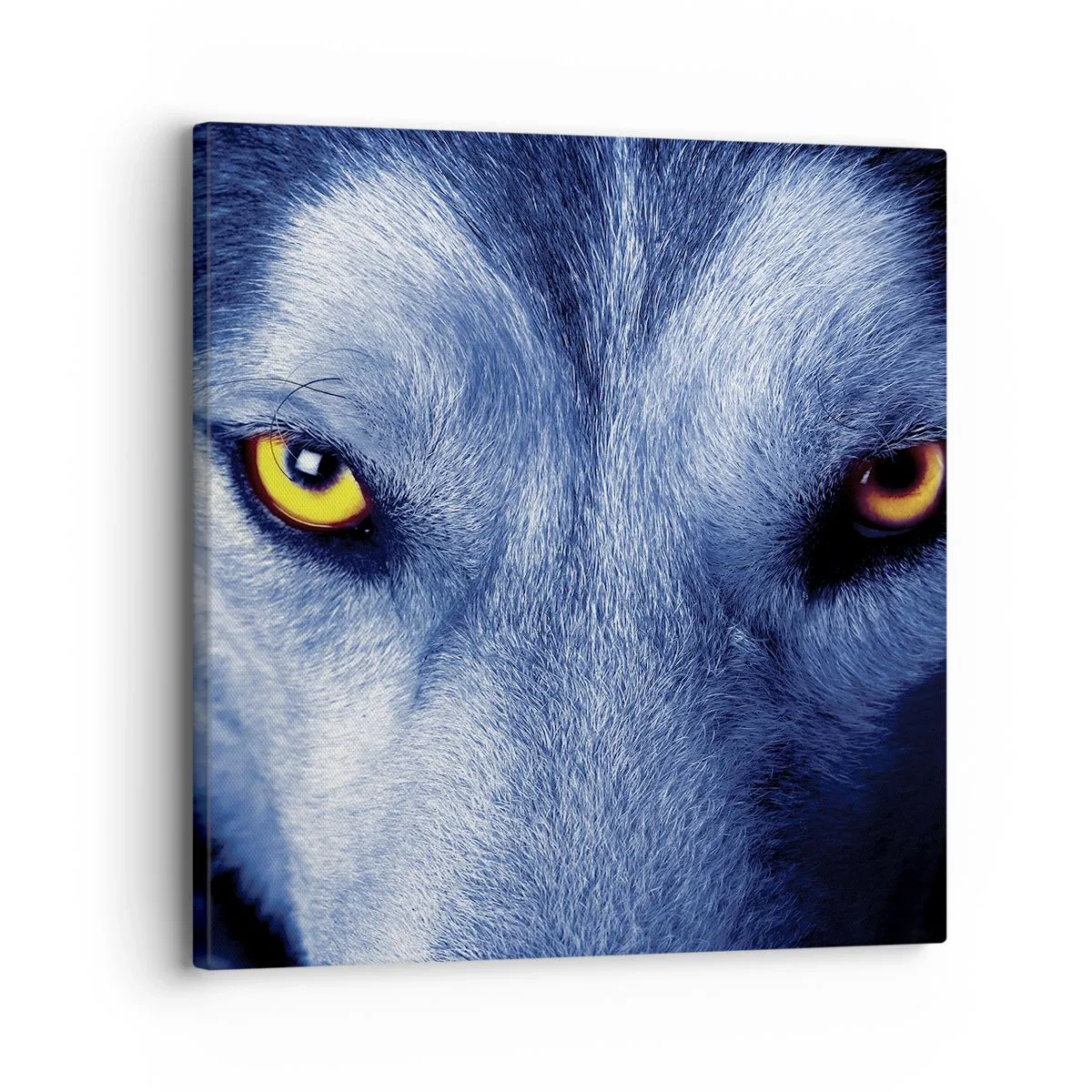 Tablou pe pânză - O privire hipnotizantă - 30x30 cm