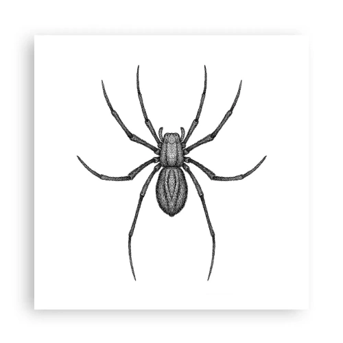 Poster - Precizie tulburătoare - 60x60 cm