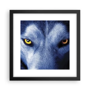 Poster în ramă neagră - O privire hipnotizantă - 30x30 cm