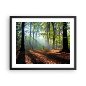 Poster în ramă neagră - Străluciri și umbre - 50x40 cm