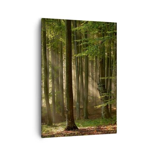 Tablou pe pânză - Strălucitoare într-o dimineață de primăvară - 50x70 cm