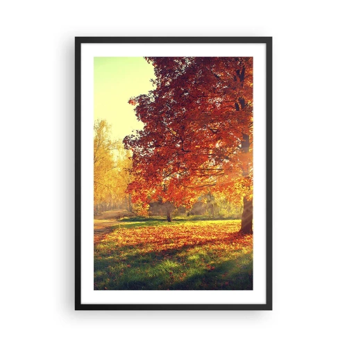 Poster în ramă neagră - Parc de toamnă cu un copac cu frunze aurii la soare - 50x70cm - Roșcatul este frumos - Decorațiune modernă pentru perete pentru living și dormitor ARTTOR