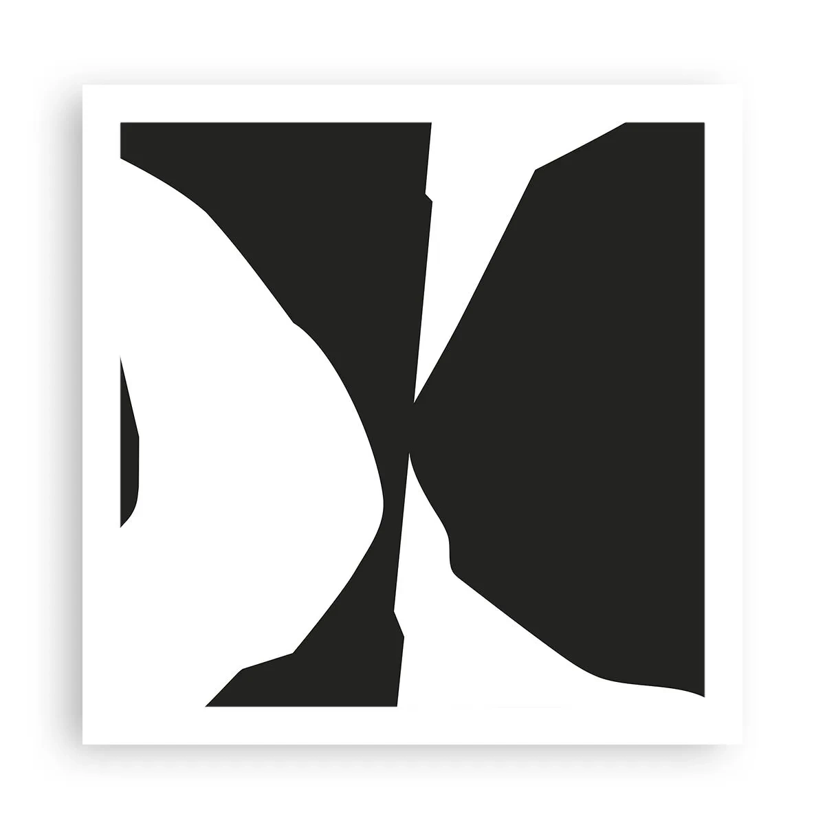 Poster - Pozitiv -negativ - 60x60 cm