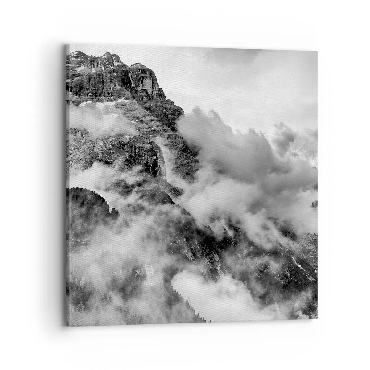 Tablou pe pânză - Frumoase și crude - 70x70 cm