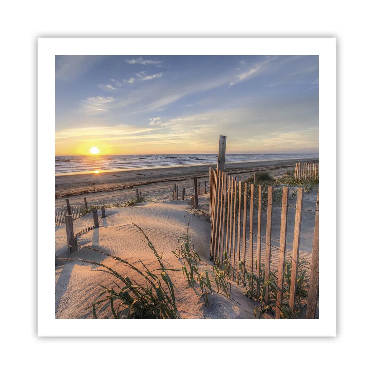 Poster - Strălucirea și umbra vântului - 60x60 cm