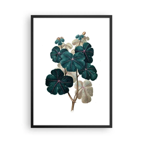 Poster în ramă neagră - Ilustrație botanică cu frunze verde închis pe fundal deschis - 50x70cm - Dintr-un vechi ierbar - Decorațiune modernă pentru perete pentru living și dormitor ARTTOR