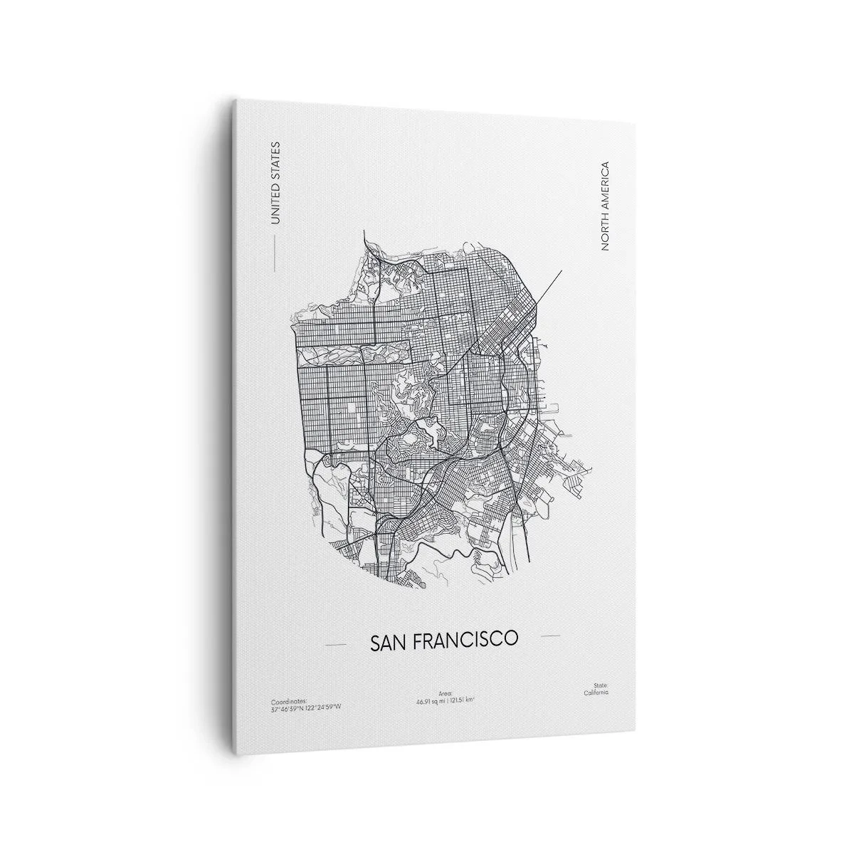 Tablou pe pânză - Anatomia San Francisco - 70x100 cm