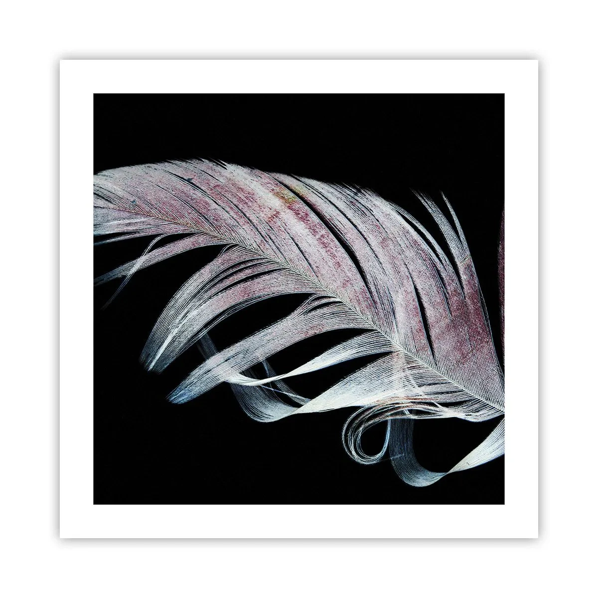 Poster - Gândește-te la atingere - 50x50 cm