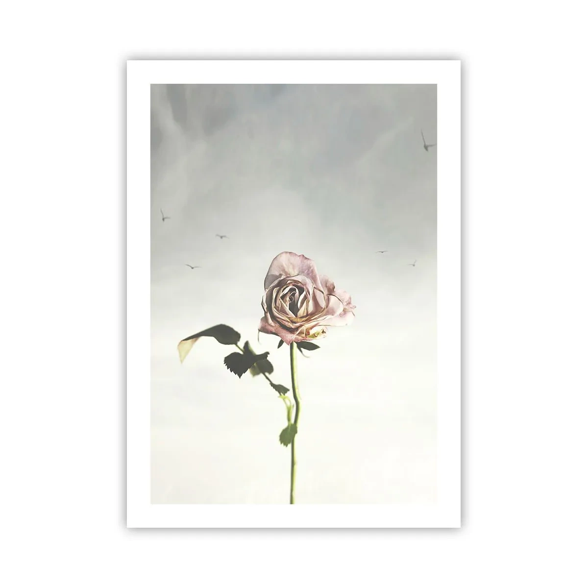 Poster - Primăvara binevenită - 50x70 cm
