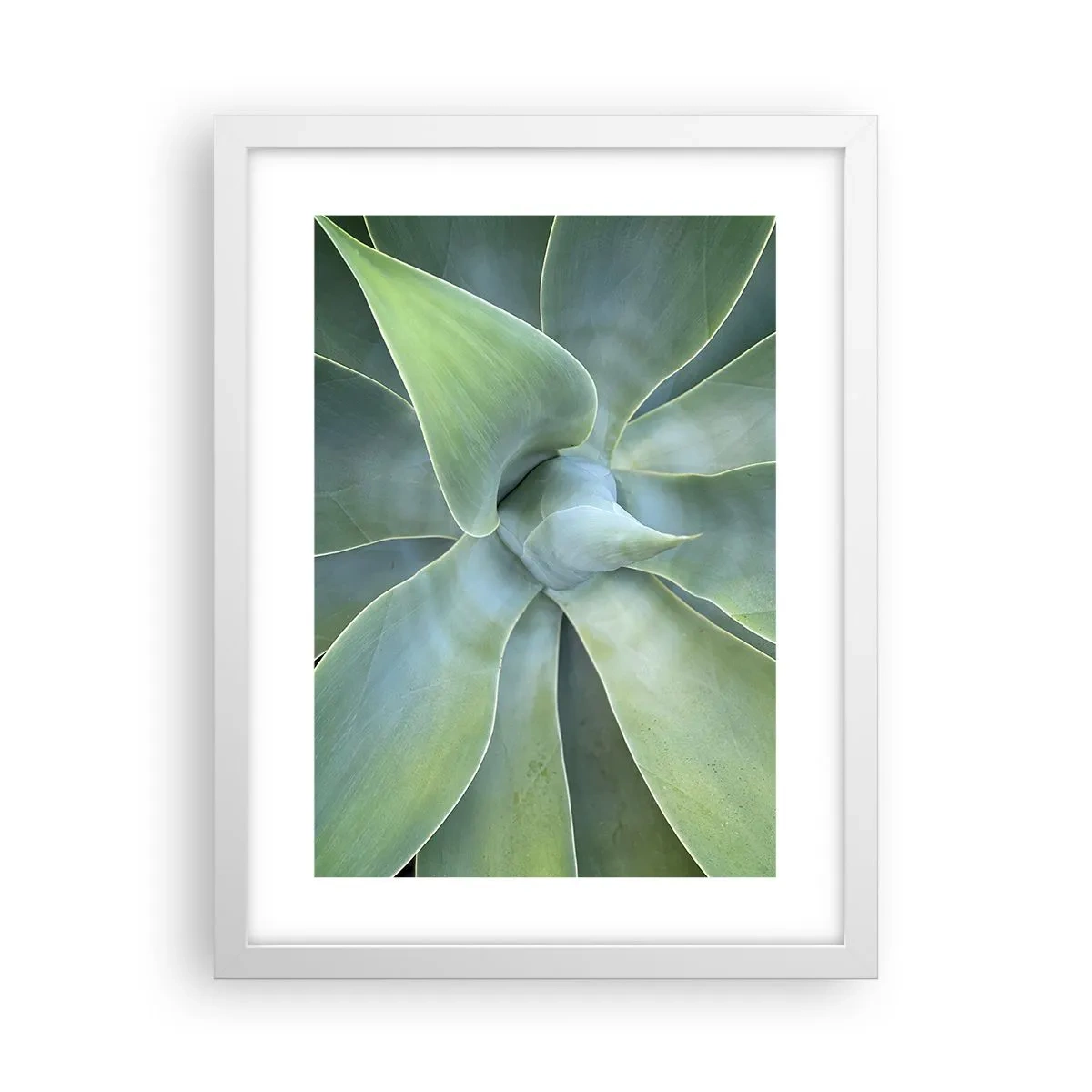 Poster în ramă albă - Nașterea verdeții - 30x40 cm