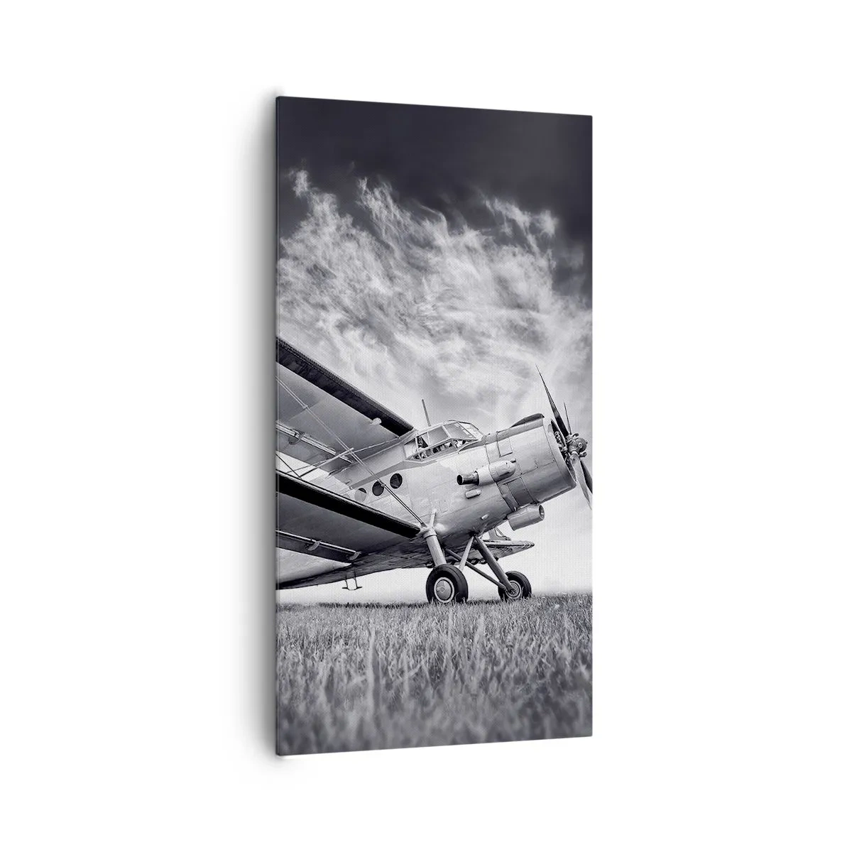 Tablou pe pânză - Rătăcitorul înaripat - 65x120 cm