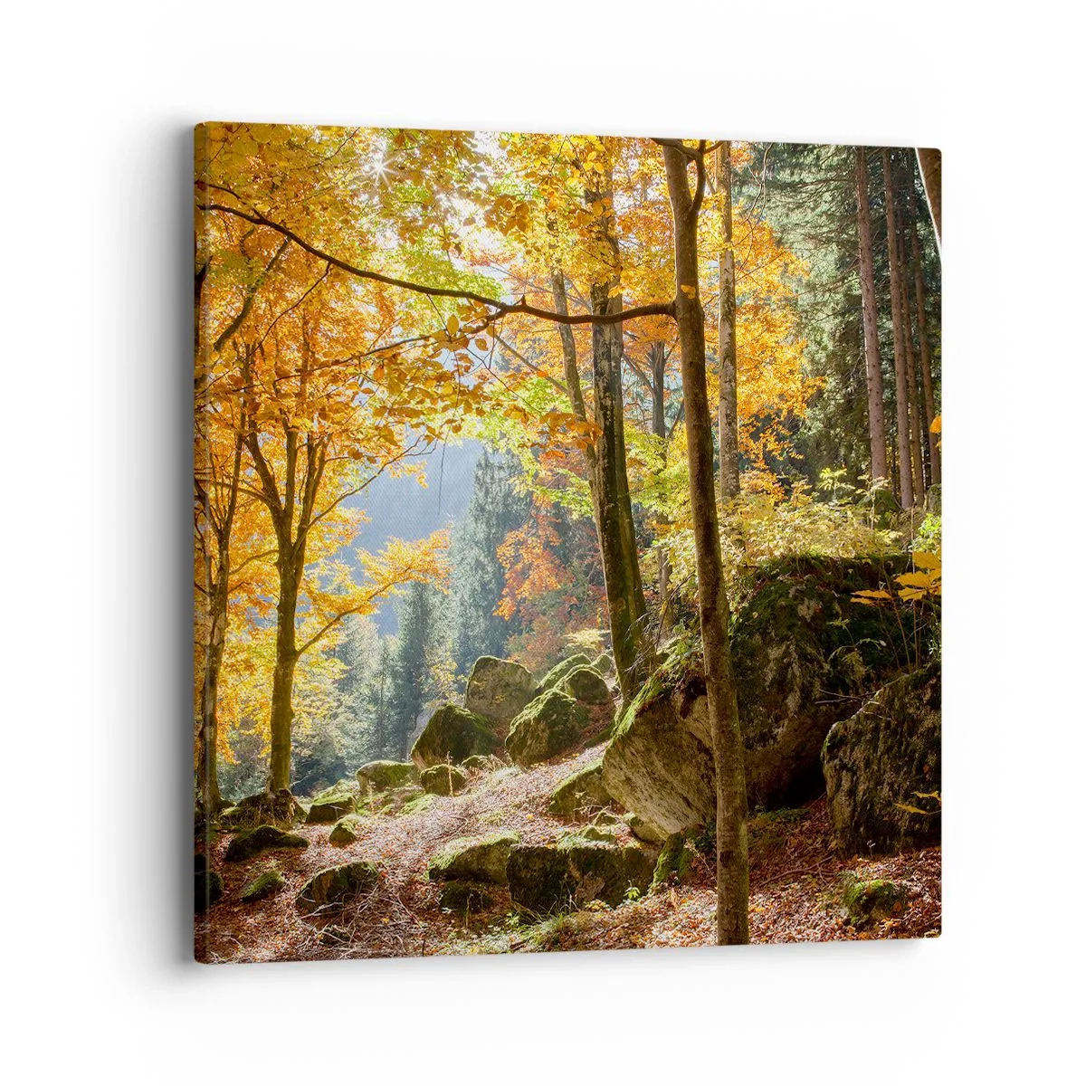 Tablou pe pânză - Timp de relaxare - 40x40 cm