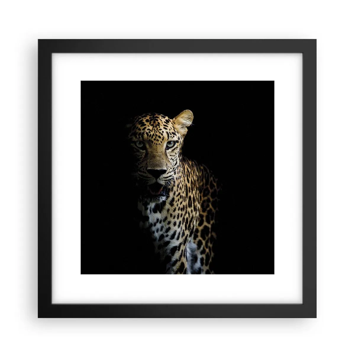Poster în ramă neagră - Frumusețe întunecată - 30x30 cm