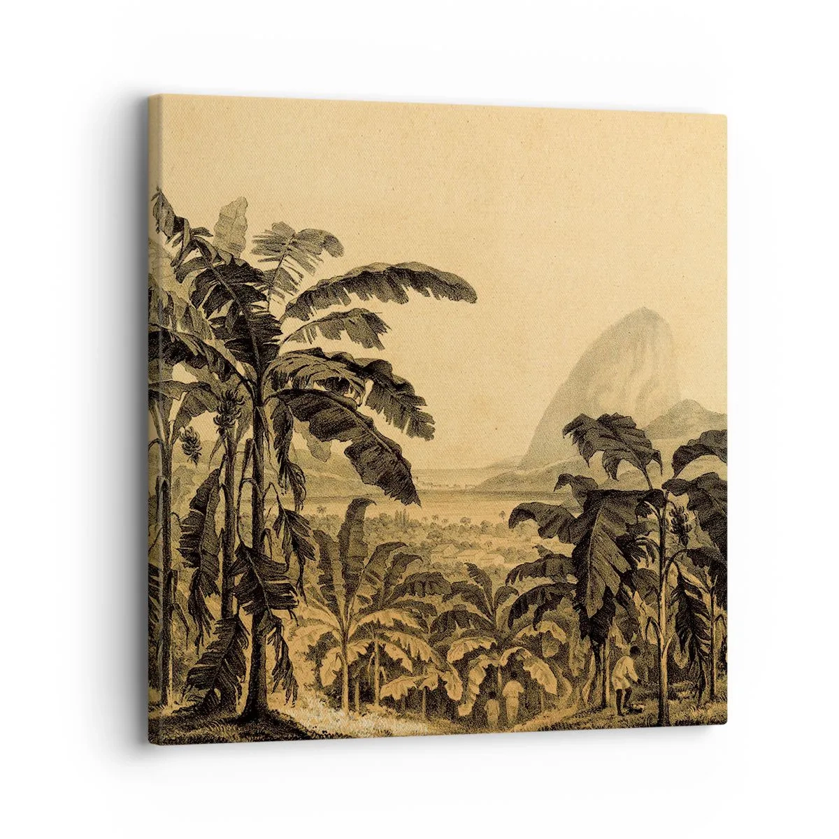 Tablou pe pânză - În stil colonial - 30x30 cm