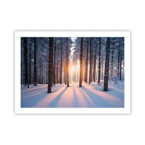 Poster - În mod clar în alb și negru - 70x50 cm