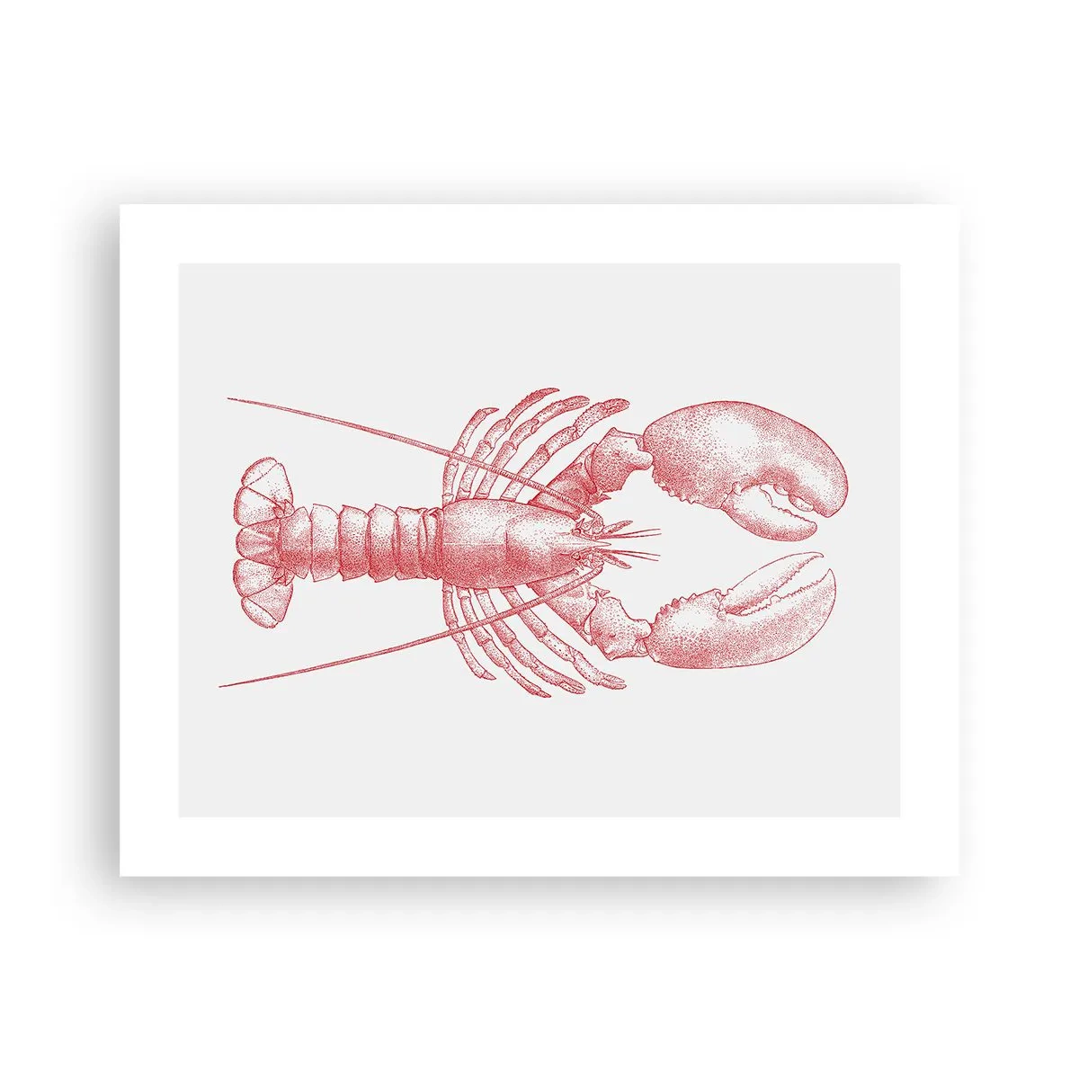 Poster - Homar demn de Homer - 50x40 cm