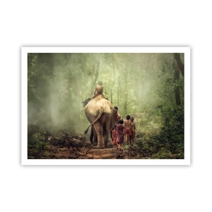 Poster - Noua Carte a Junglei - 100x70 cm