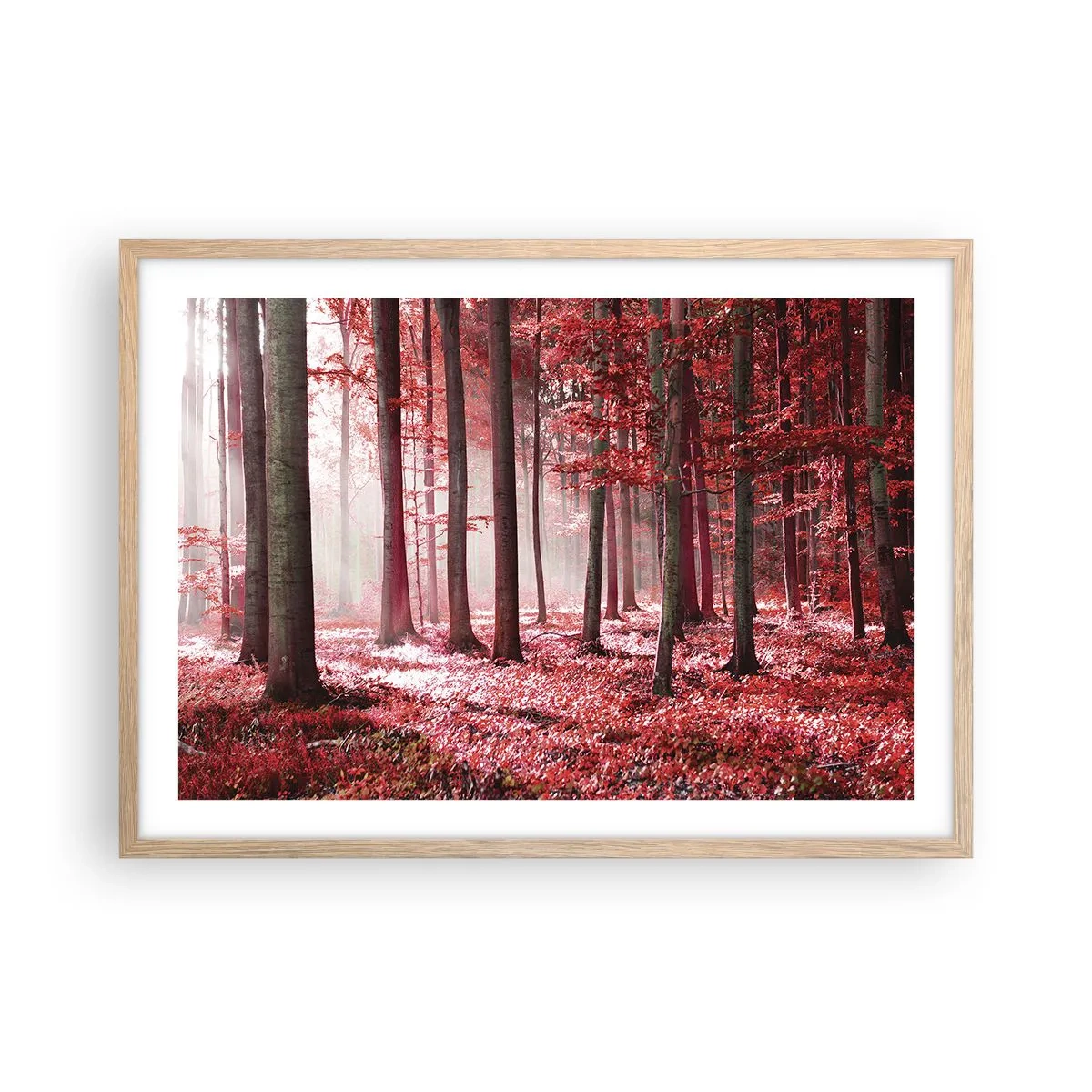 Poster în ramă de stejar deschis - Roșie este la fel de frumoasă - 70x50 cm