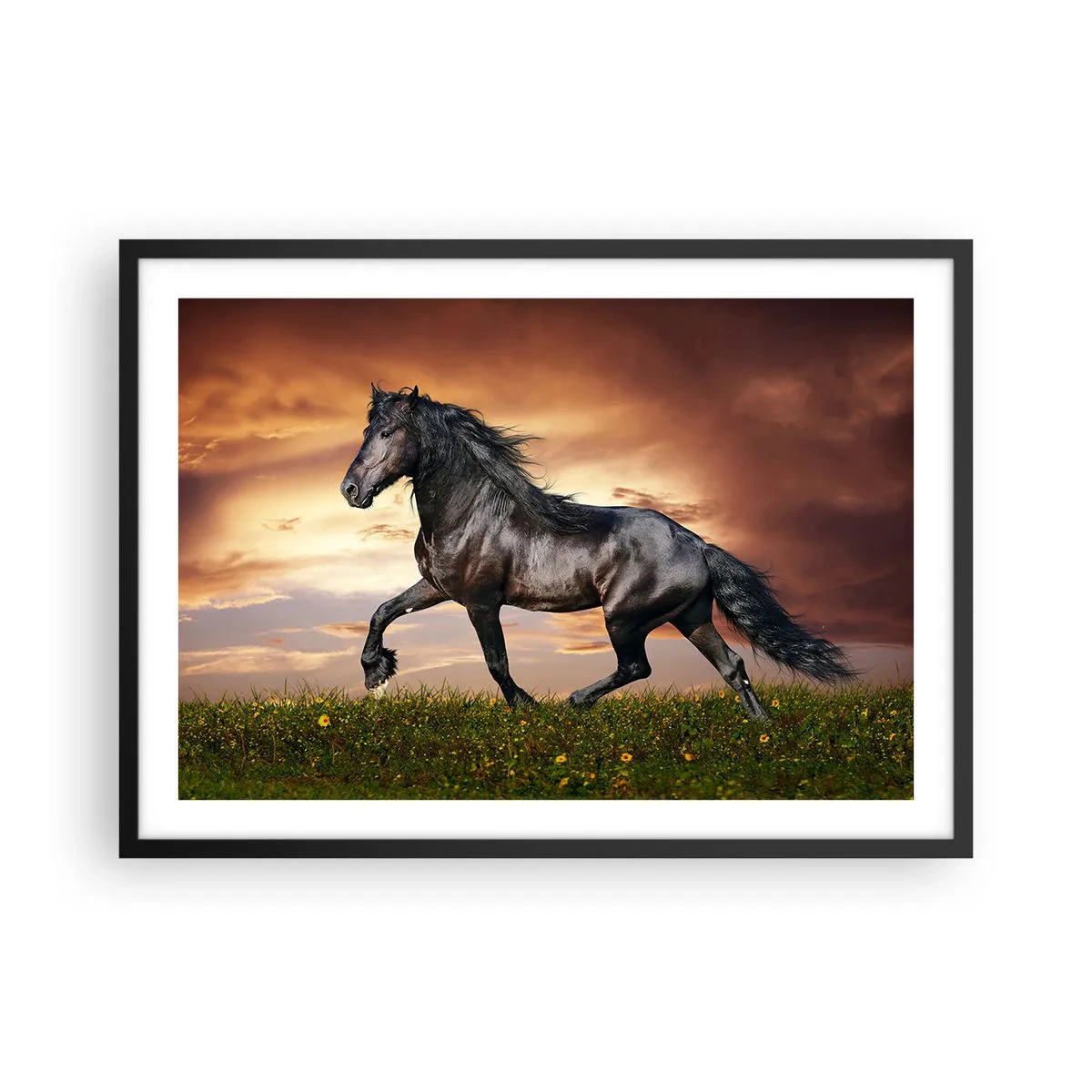 Poster în ramă neagră - Prințul negru - 70x50 cm