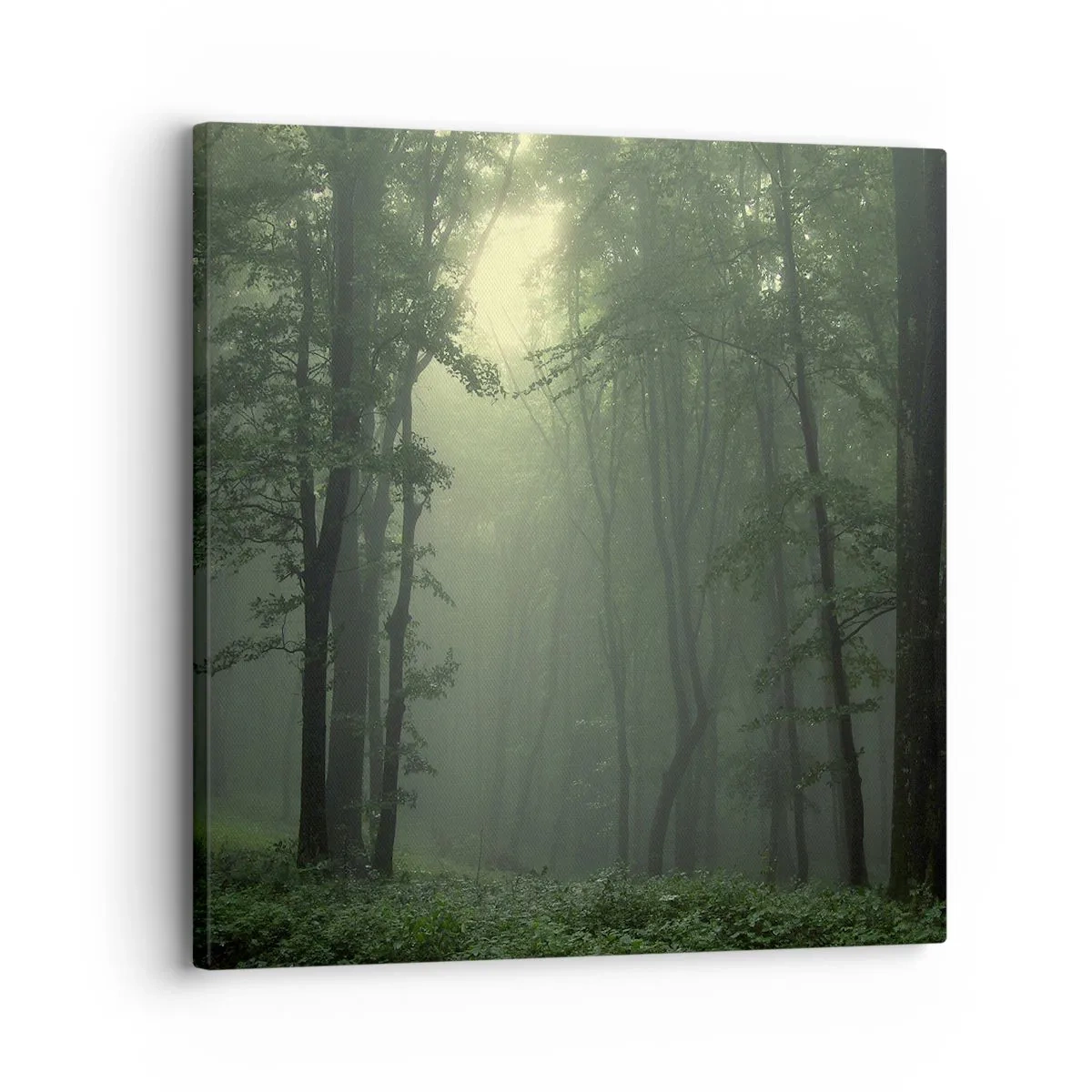 Tablou pe pânză - Înainte să se trezească - 30x30 cm