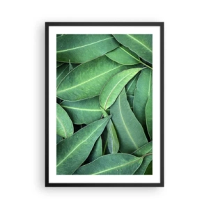 Poster în ramă neagră - Frunze verzi aranjate într-o compoziție densă - 50x70cm - Suculente și proaspete - Decorațiune modernă pentru perete pentru living și dormitor ARTTOR
